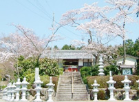 桜の毘沙門天入口