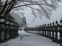 冬の毘沙門天